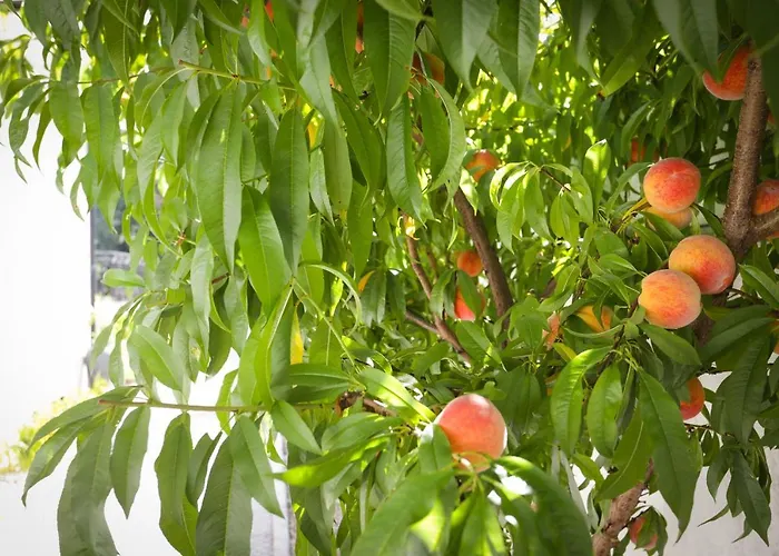 Oporto Airport House Apartamento Moreira (Porto)