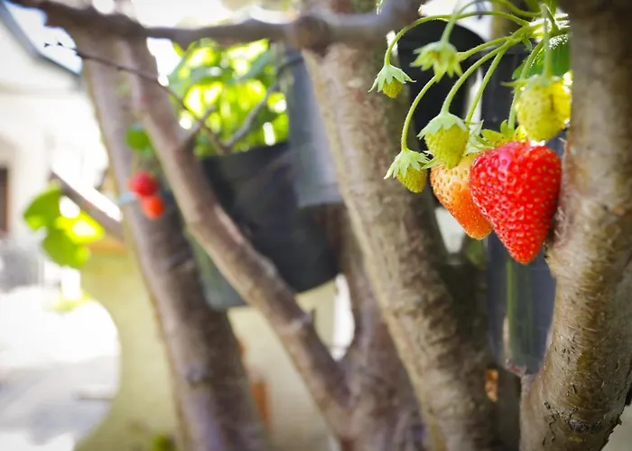 Oporto Airport House Moreira (Porto)