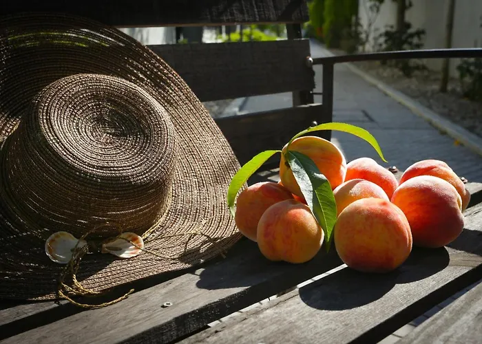 Oporto Airport House Apartamento Moreira (Porto)